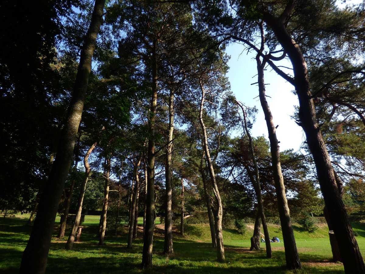 Indian Summer at Kings Heath Park (September 2020)